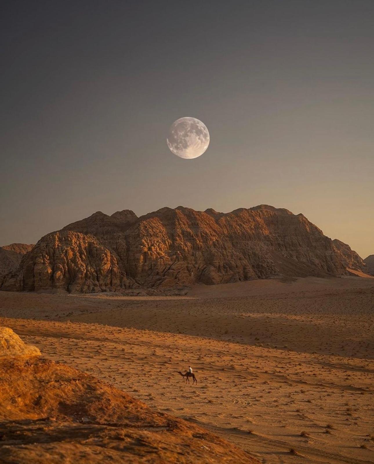 Wadirum Sunset Camp Hotel Вади Рум Екстериор снимка